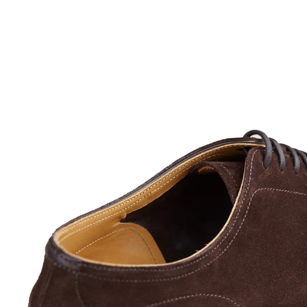 Height Increasing Brown Suede Hamlet Derby Shoes